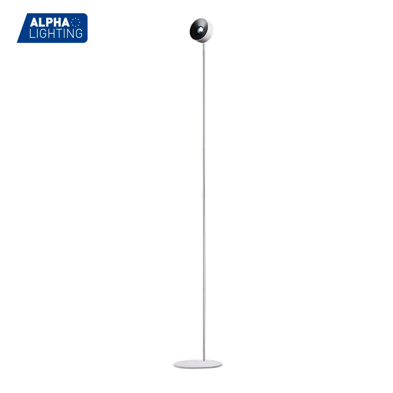 RGB Rainbow Sunset Floor Lamp, Modern Standing Lamp in Black or White
