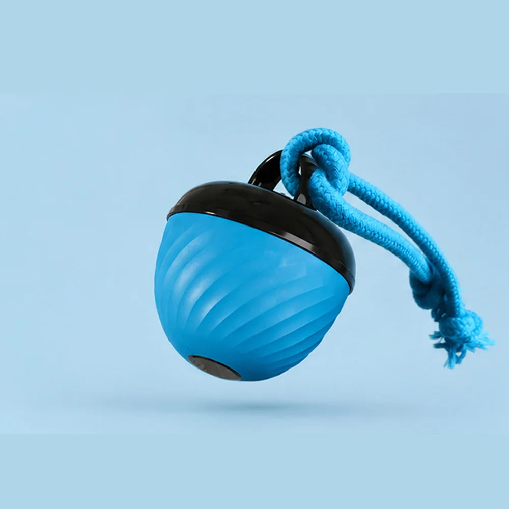 Custom Smart Automatic Rolling Ball Electric Interactive Nylon Rope Sound Ball Lovely Pet