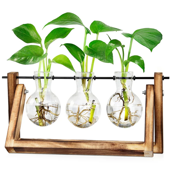 Plant Propagation Station Plant Terrarium with Wooden Stand for Plant Lovers Home Office