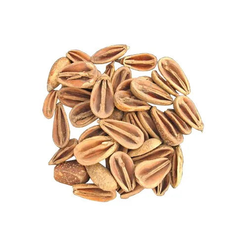 Mike Petal Indian Botanical Eco-Friendly Potpourri Dried Natural Beguni Fruit