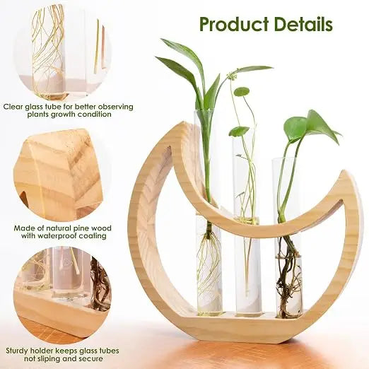 Handcrafted Wooden Plant Propagation Station with Glass Test Tubes Modern Botanical