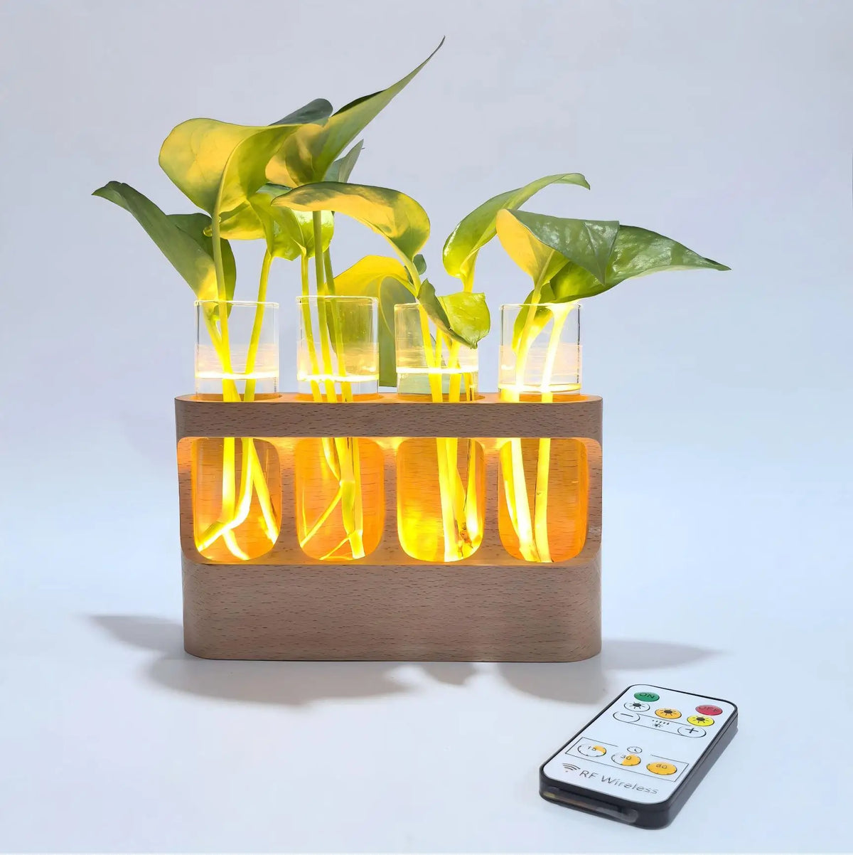 Wooden Plant Propagation Station with LED Grow Light 4 Glass Test Tubes Hydroponic Vase