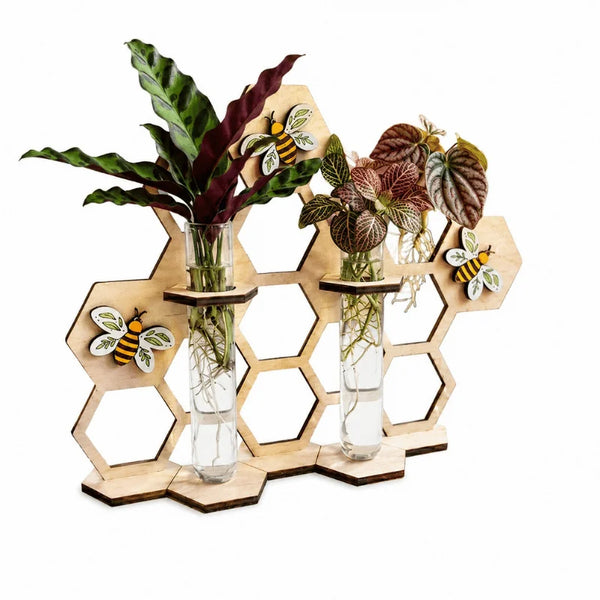 Modern Laser Cut Propagation Station with Glass Tube Vases | Wooden Honeycomb Plant
