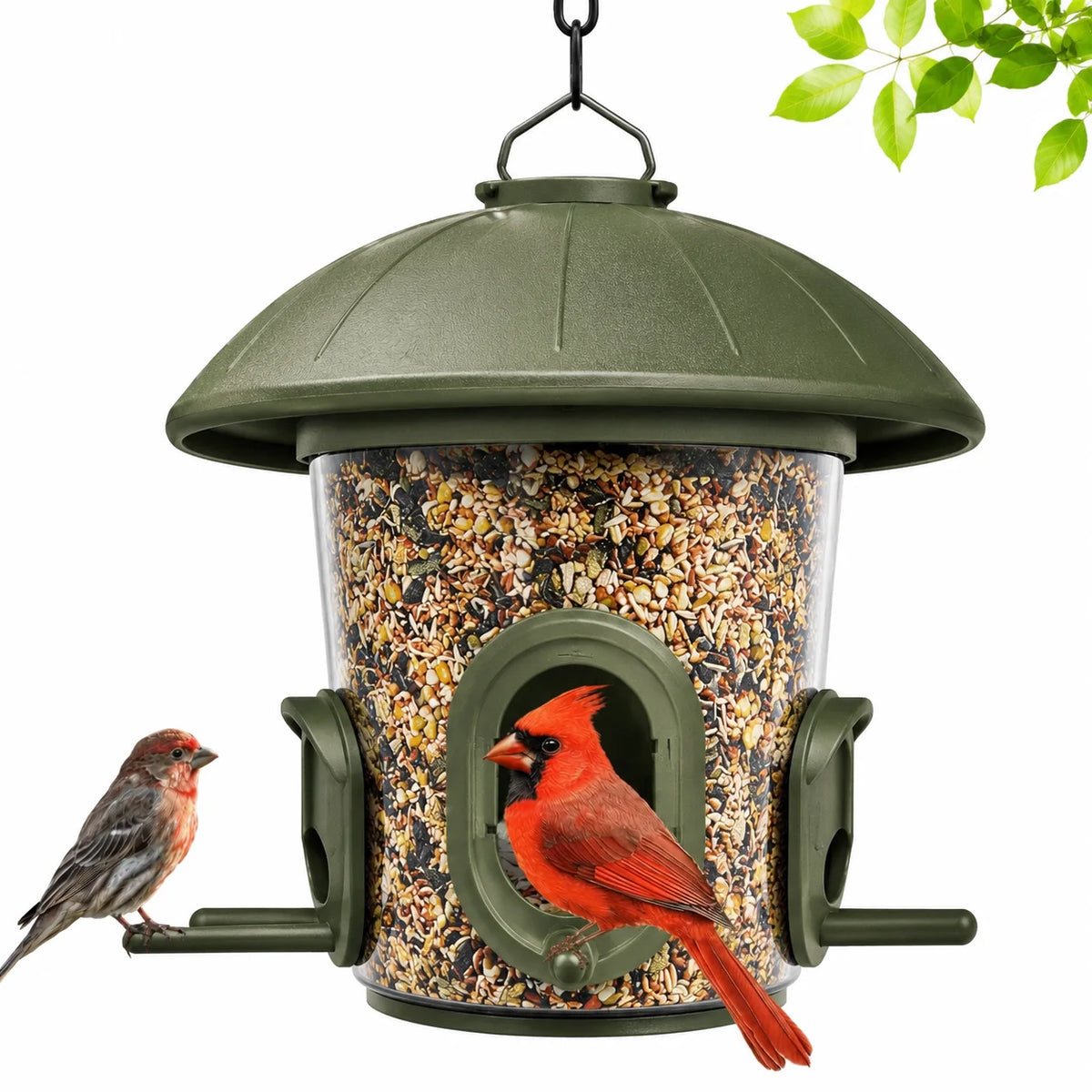 Bamboo Smart Bird Feeder with Camera & Solar Panel-Eco-Friendly Tabletop Garden Use