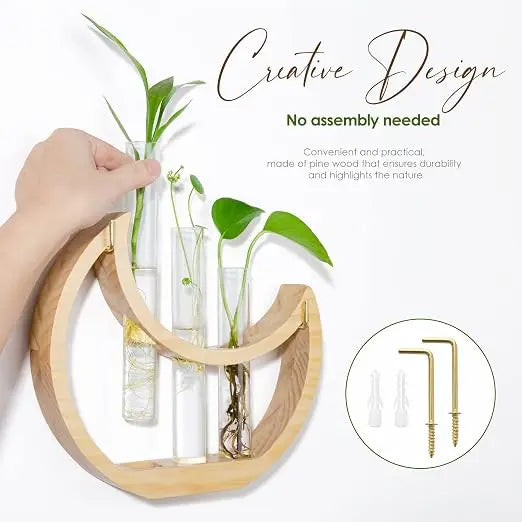 Handcrafted Wooden Plant Propagation Station with Glass Test Tubes Modern Botanical