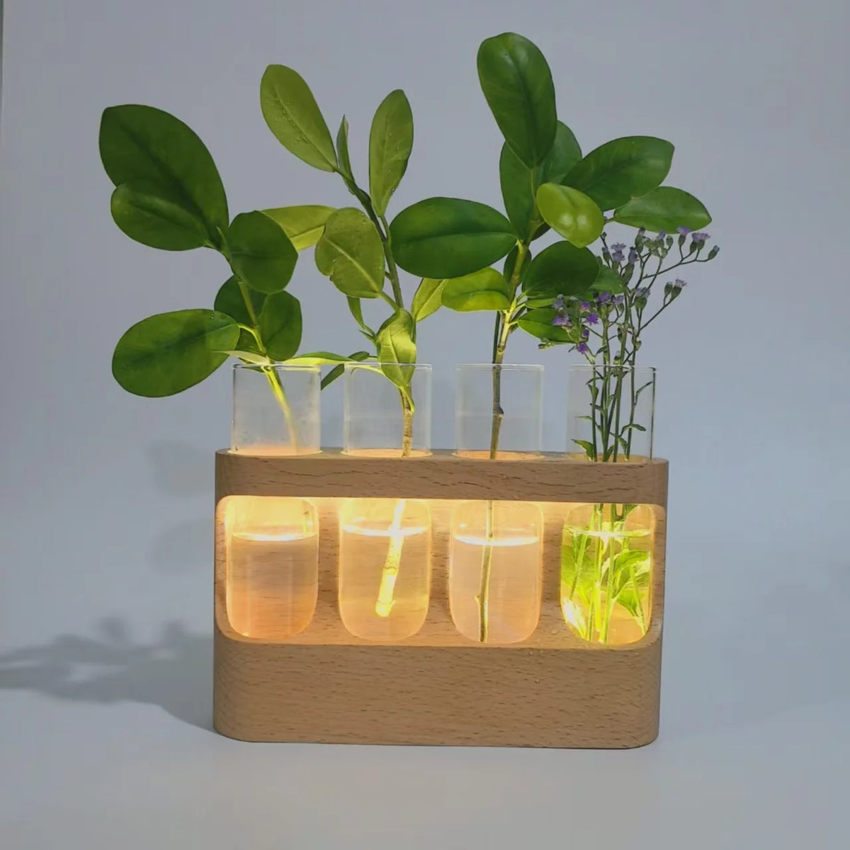 Wooden Plant Propagation Station with LED Grow Light 4 Glass Test Tubes Hydroponic Vase