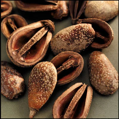 Indian Botanical Potpourri with Dried Natural Beguni Fruit, 250 g Bag