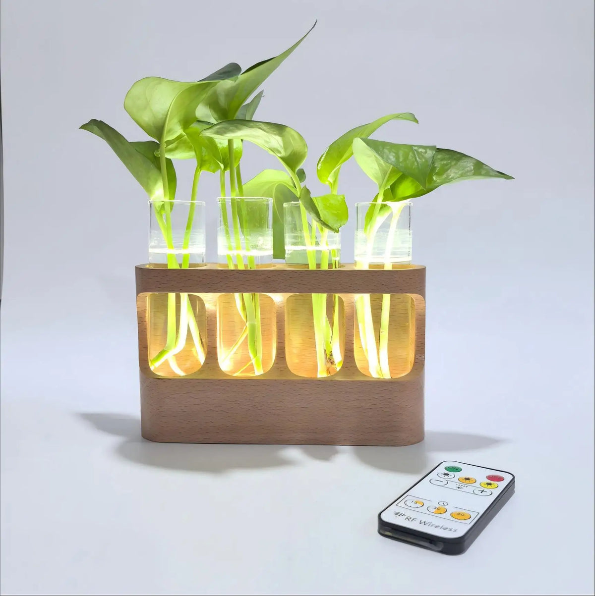 Wooden Plant Propagation Station with LED Grow Light 4 Glass Test Tubes Hydroponic Vase