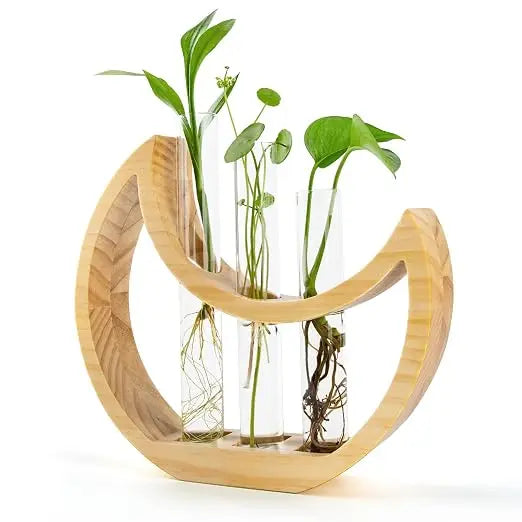 Handcrafted Wooden Plant Propagation Station with Glass Test Tubes Modern Botanical