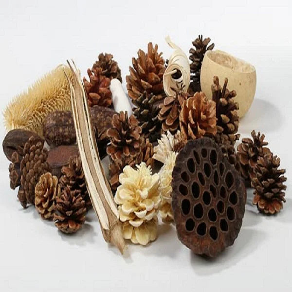 Advaith Impex Potpourri Slice Mahogany Natural Dried Exotics West Bengal (Pack of 2)