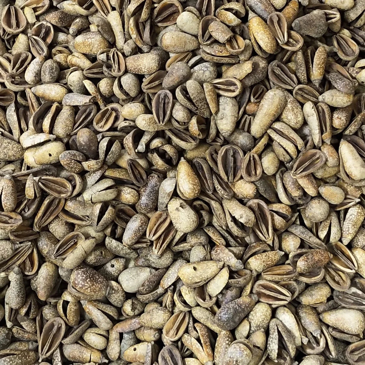Indian Botanical Potpourri with Dried Natural Beguni Fruit, 250 g Bag