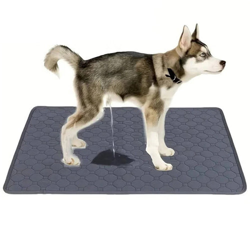 Dog Pee Pads Disposable and Reusable