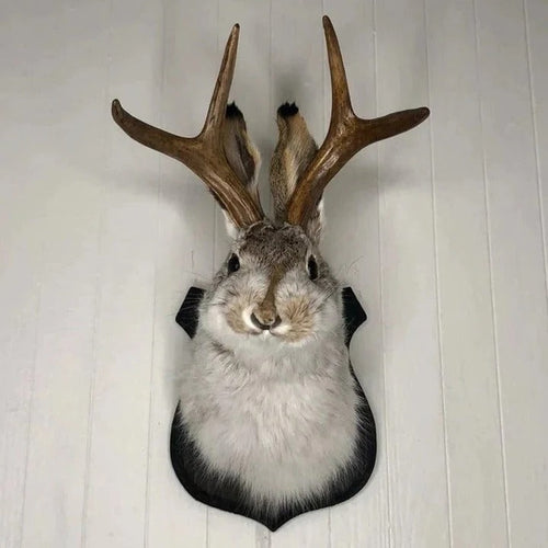 Hanging Jackalope Wall Art