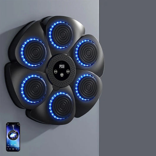 Wall Mounted USB Rechargeable Music Boxing Target