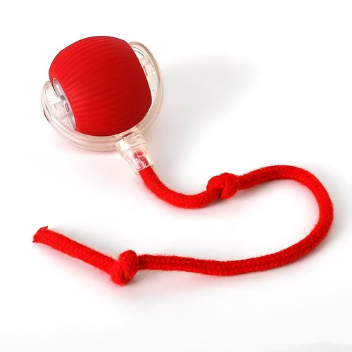 Interactive Rolling Ball Toy with Tail for Dogs