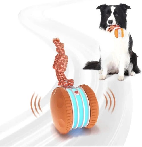 Automatic Rolling Ball Toy for Dogs with Rope, 2 Piece Set